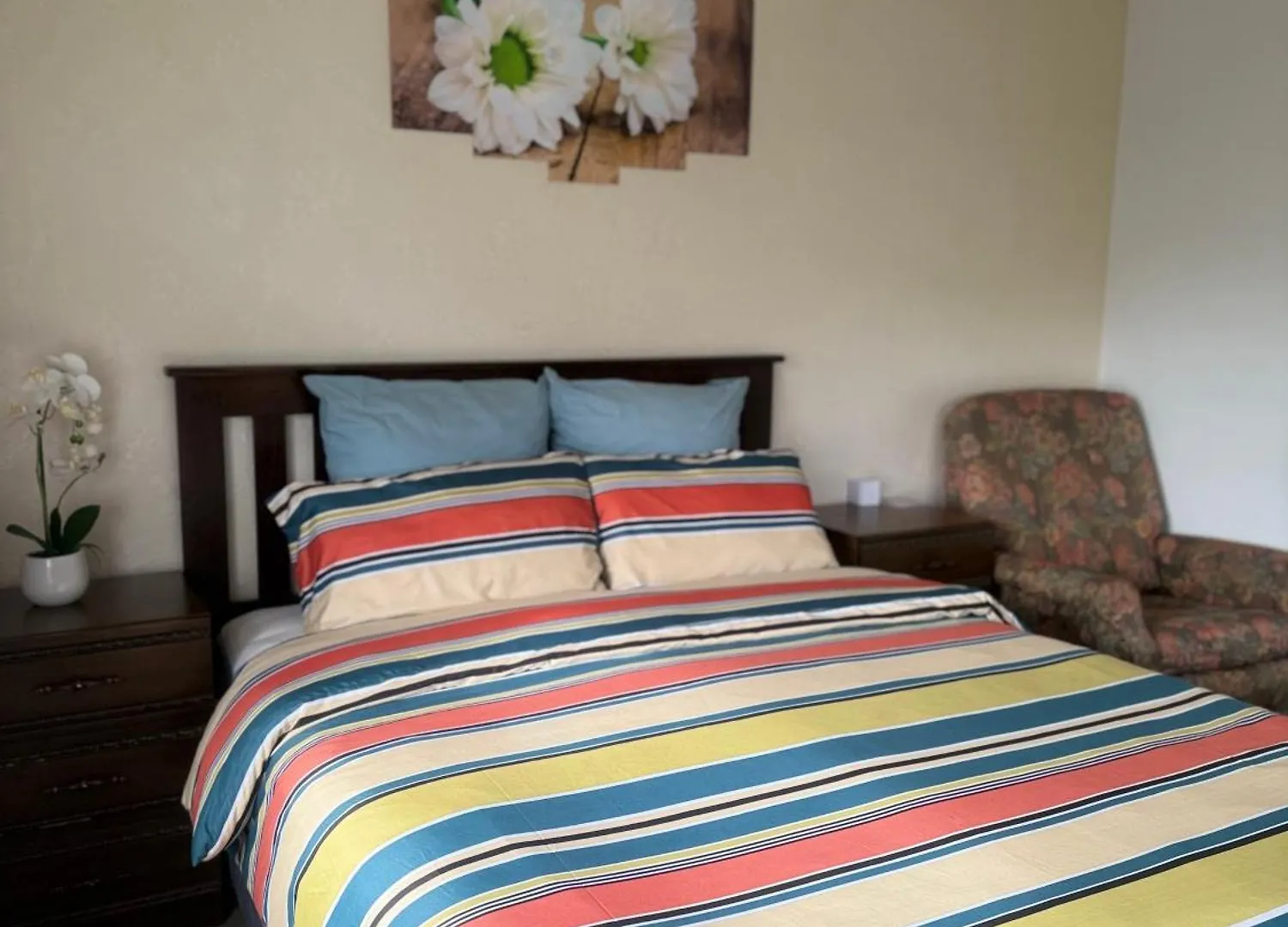 Cozy And Sunny Room Near City To Seapath Christchurch Homestay